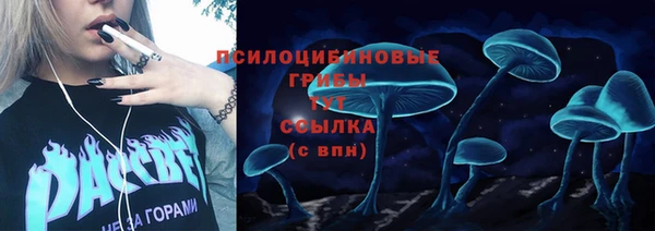стаф Бугульма
