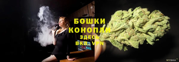 стаф Бугульма