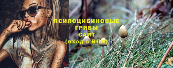 эйфоретик Богородск