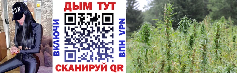 Шишки марихуана THC 21% Карталы